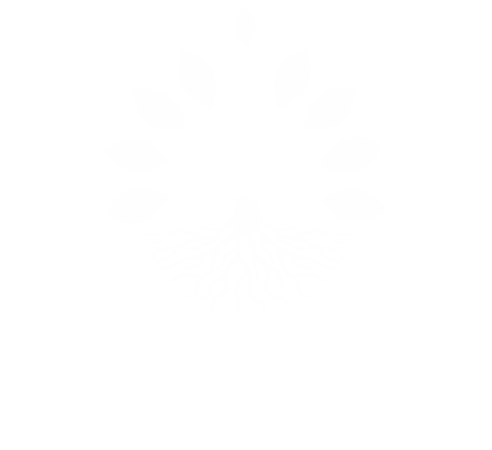 Logo Irio Domingos